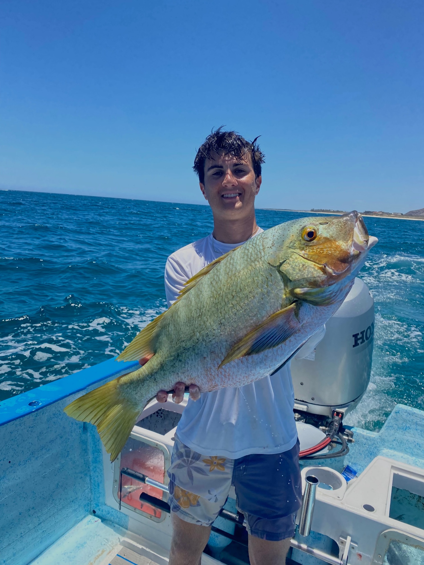 Tyler Veal, founder of Eat Fish Company, passionate about sustainable seafood and supporting local fishermen with fresh catch