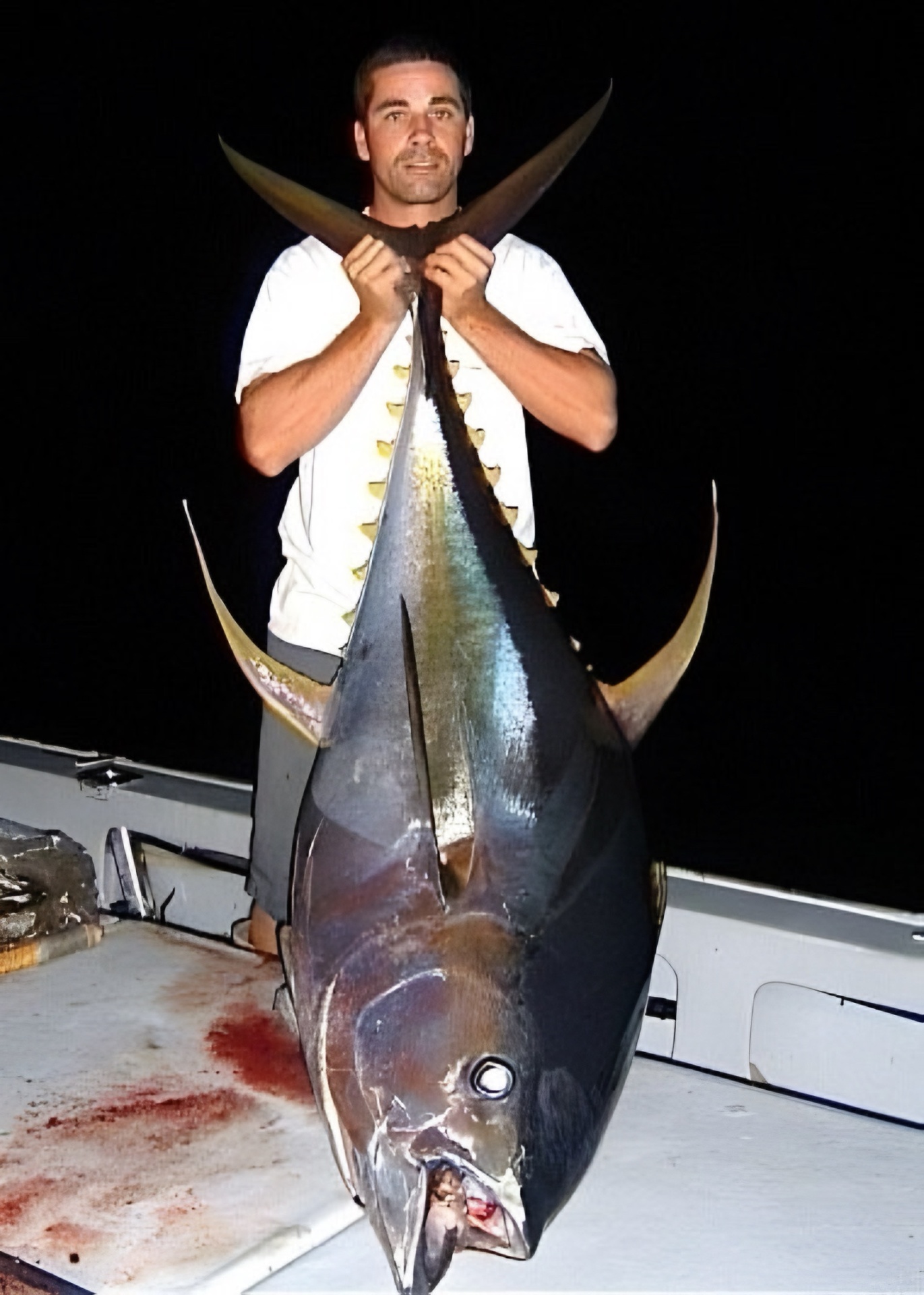 Experienced fisherman with fresh yellowfin tuna catch